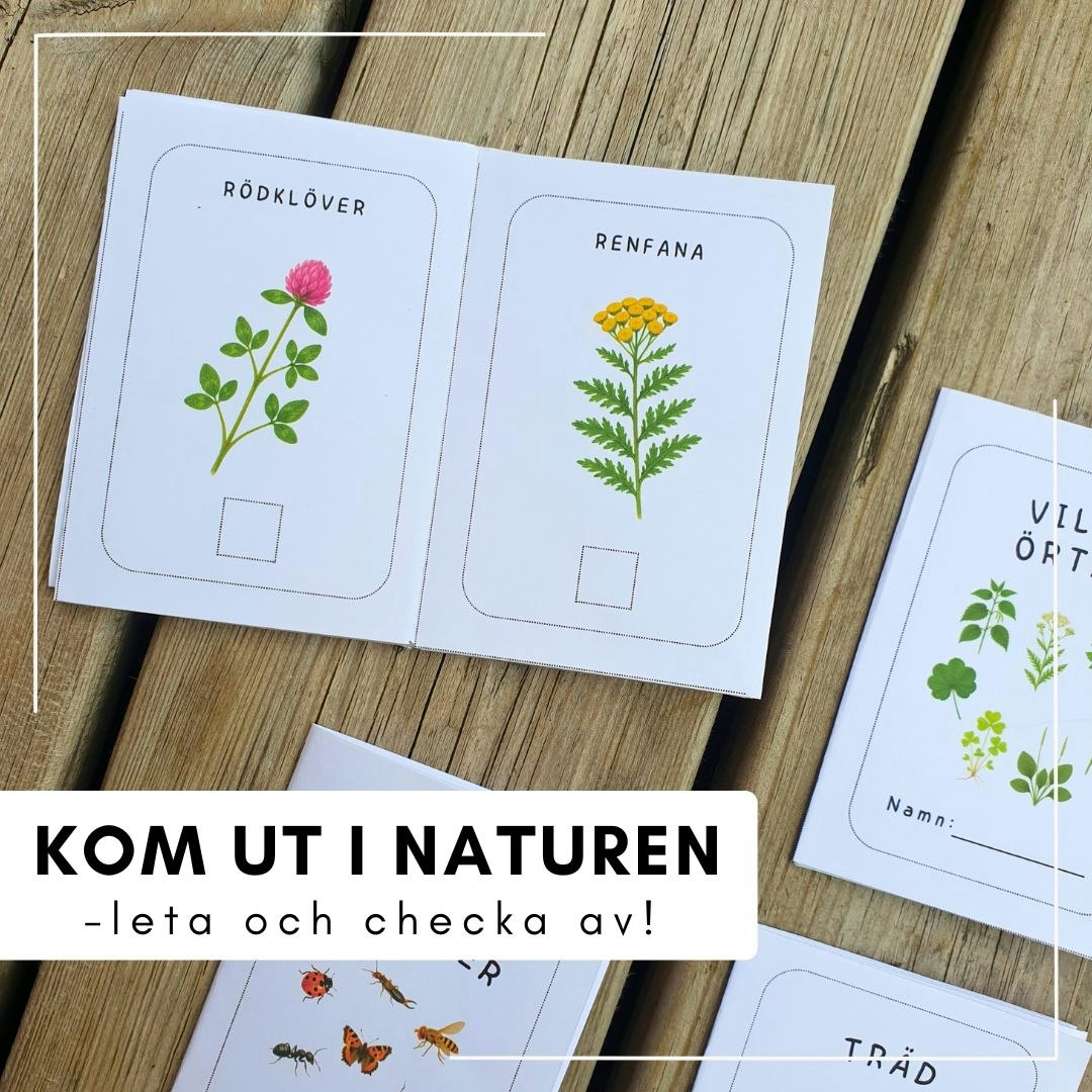 Små sommarböcker