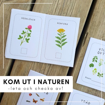 Små sommarböcker