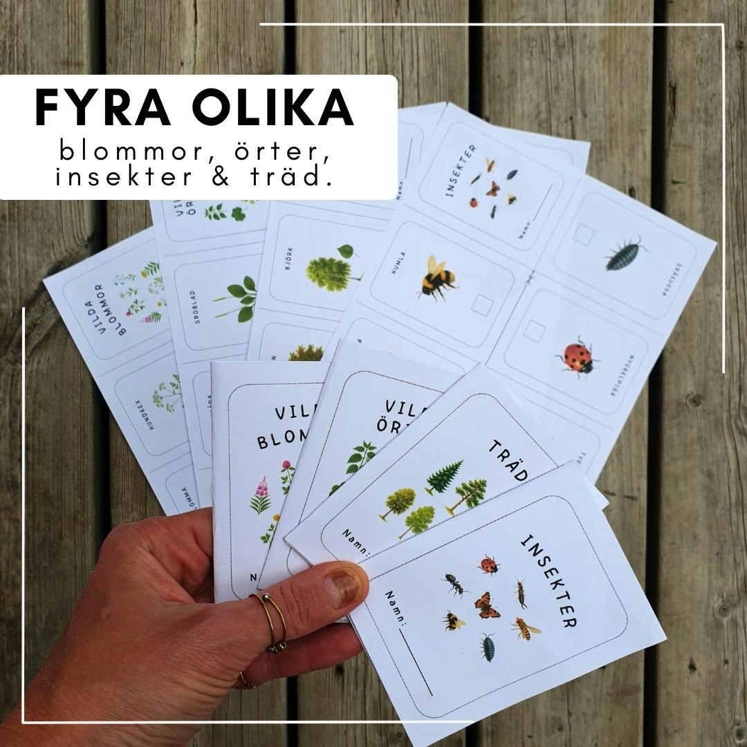 Små sommarböcker