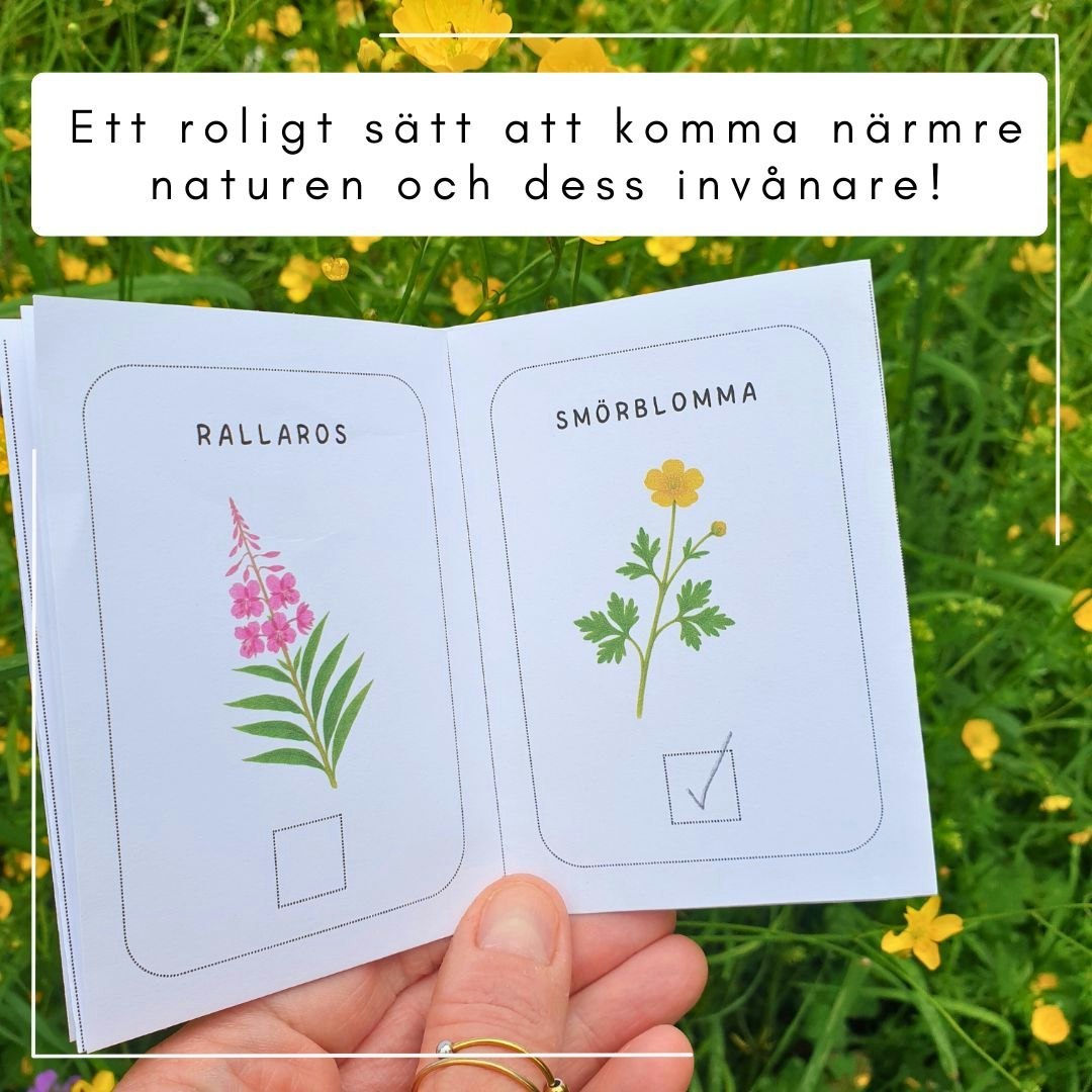 Små sommarböcker