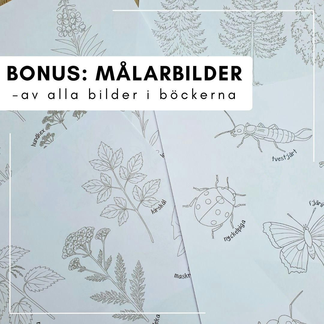 Små sommarböcker