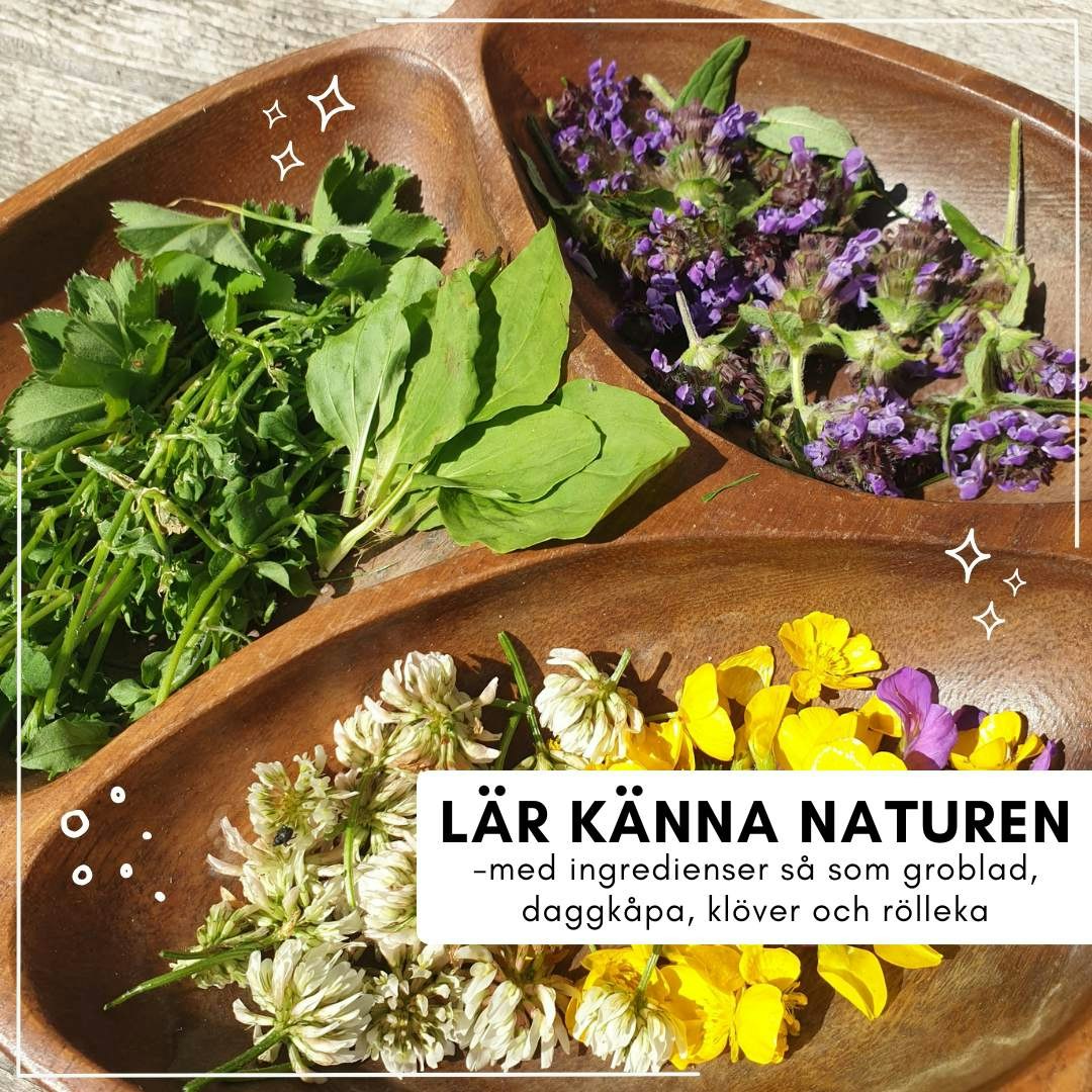 Naturapoteket - magiska brygder och uppdrag