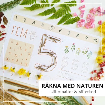 Räkna med naturen - siffermattor & sifferkort