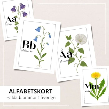Bokstavskort - vilda växter i Sverige