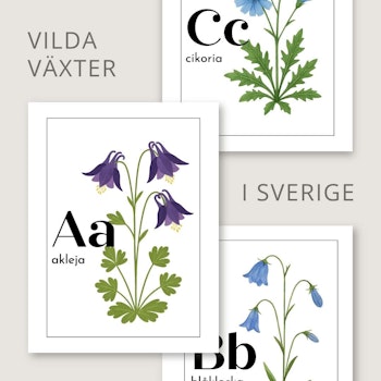 Bokstavskort - vilda växter i Sverige