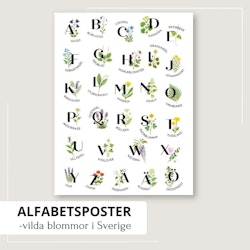 Alfabetstavla - vilda växter i Sverige
