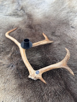 Renhornsljusstake.