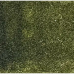Akvarellmaling - W162 Olive Green - 15ml