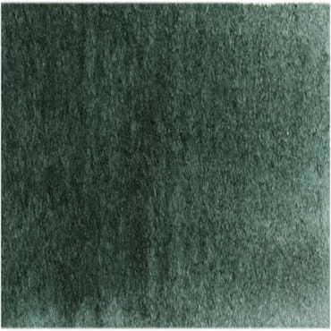 Akvarellmaling - W164 Forest Green - 15ml