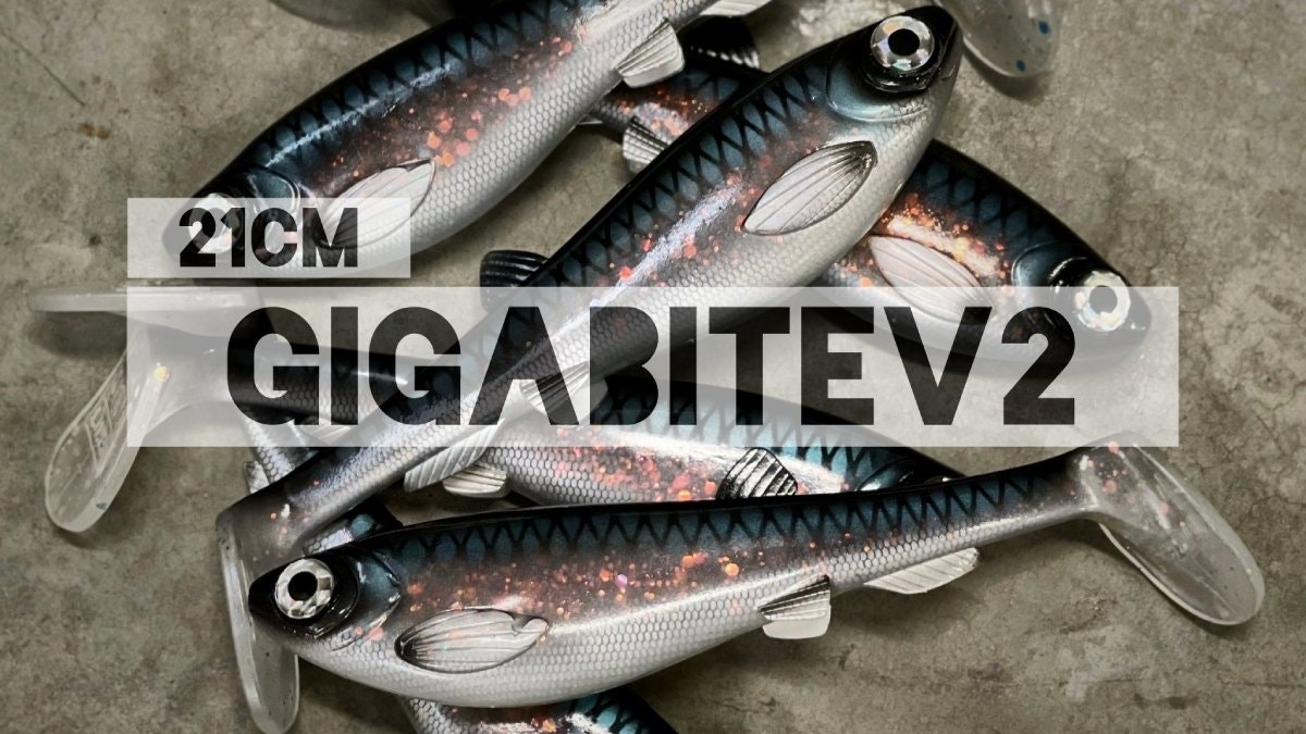 GigabiteV2 21cm - Ulm Lures AB