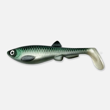 GigabiteV2 Nors 21cm