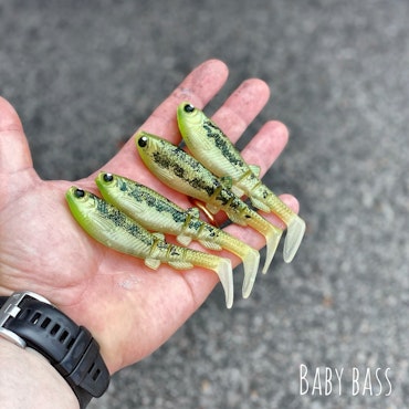GigabiteV2 Baby Bass 10cm - 4pcs