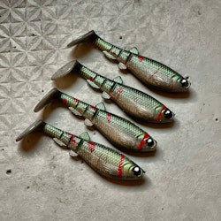 GigabiteV2 Arkansas Shiner 10cm - 4pcs