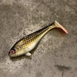 Snackbite Golden Olive 21cm