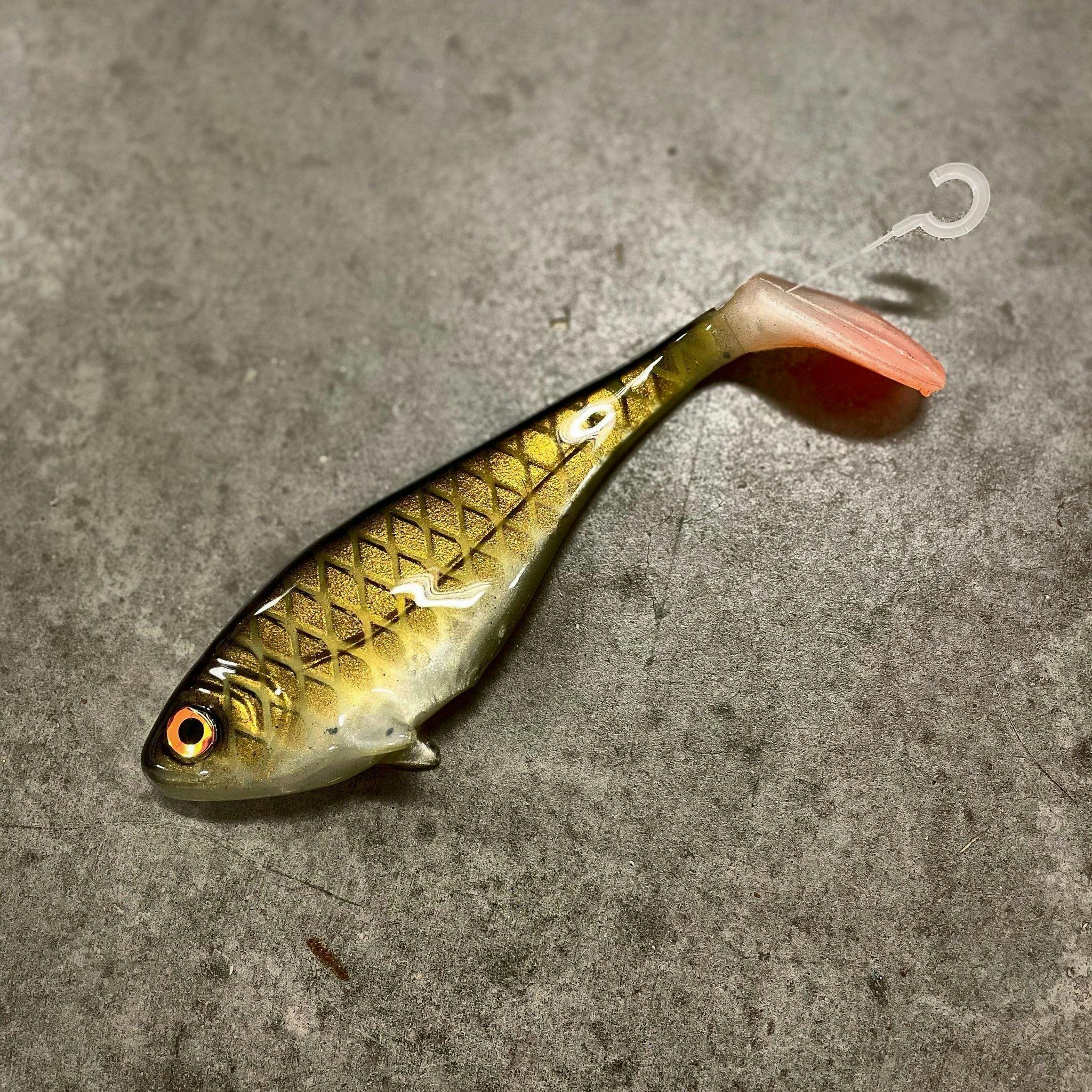 Snackbite Golden Olive 16cm