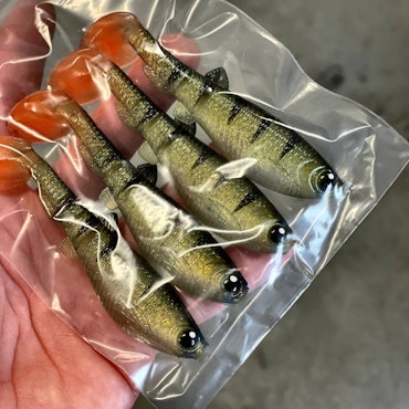 GigabiteV2 Baby Perch 10cm - 4pcs