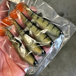 GigabiteV2 Baby Perch 10cm - 4pcs