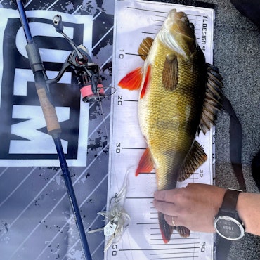 MCB Perch Bladed Jig Albino Flash 14g