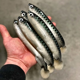 Gigashad Nors 27cm