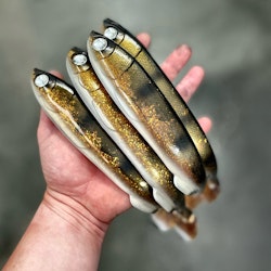 Gigashad UV Walleye 27cm