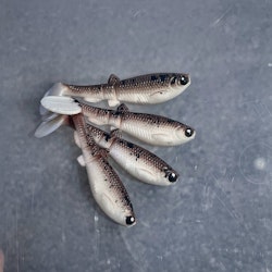 GigabiteV2 Brown Pepper 8cm - 4pcs