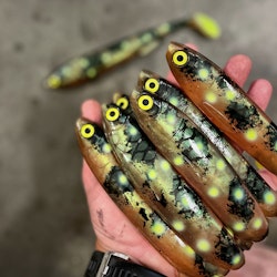 Gigashad Hot Spotted Kiwi 24cm