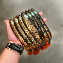 Gigashad Motoroil Perch 24cm