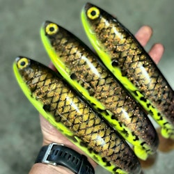 Gigashad Hot Motoroil Burbot 33cm