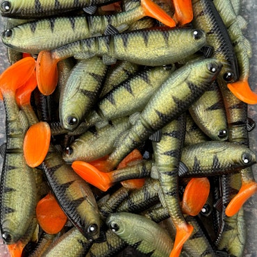 GigabiteV2 Baby Perch 10cm - 4pcs