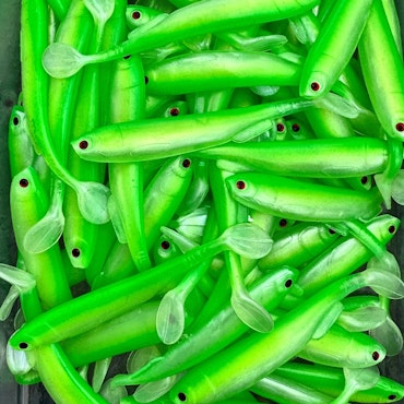Gigashad Rügen Herring 10cm - 5pcs