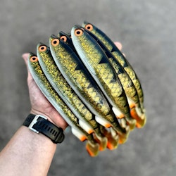 Gigashad Hot Motoroil Perch 27cm