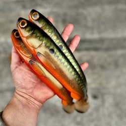 Gigashad K.O 33cm