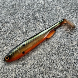 Gigashad K.O 33cm