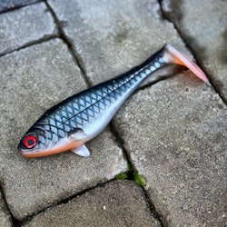 Snackbite Roach 21cm