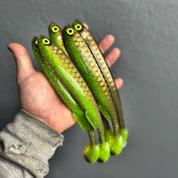 Gigashad Toxic Bream 24cm