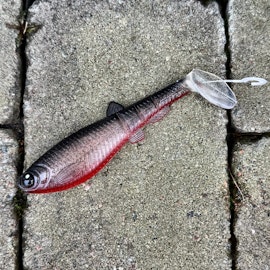 GigabiteV2 Red Ghost 14cm