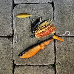 Skitmört Pike Combo