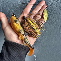 Spotted Bullhead Pike Combo