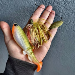 Baby Bass Pike Combo