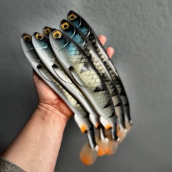 Gigashad Baby Perch 33cm