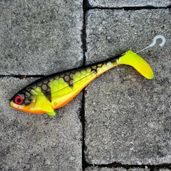 Snackbite Black Perch 16cm