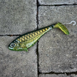 Snackbite Motoroil Bream 16cm