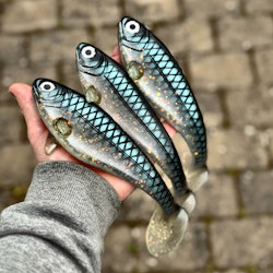Snackbite Sill Royale 21cm