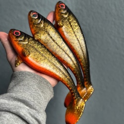 Snackbite Golden Roach 21cm
