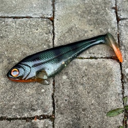 Snackbite Emerald Perch 21cm