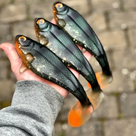 Snackbite Emerald Perch 21cm