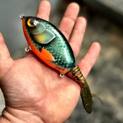 Ulm Tail - TG Special