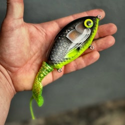 Ulm Tail - Hot Belly Roach