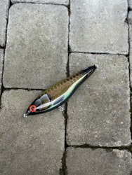 Gigajerk Jr - Reversed Parrot 17,5cm