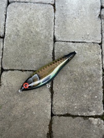 Gigajerk Jr - Reversed Parrot 17,5cm